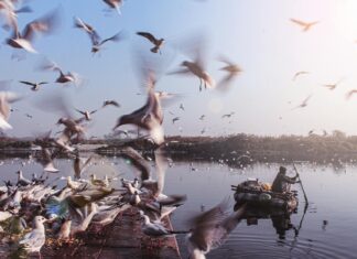 Danai Gurira: Life Story, Career Highlights, and Full Biography Danai Gurira: Life Story, Career Highlights, and Full Biography