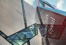 Daniel Kaluuya: Life Story, Career Highlights, and Full Biography