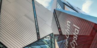 Daniel Kaluuya: Life Story, Career Highlights, and Full Biography