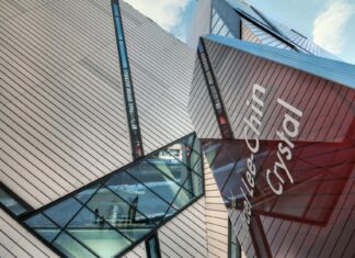 Daniel Kaluuya: Life Story, Career Highlights, and Full Biography Daniel Kaluuya: Life Story, Career Highlights, and Full Biography