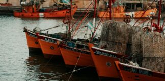 David Harbour: Life Story, Career Highlights, and Full Biography