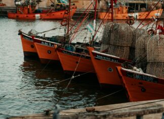 David Harbour: Life Story, Career Highlights, and Full Biography David Harbour: Life Story, Career Highlights, and Full Biography