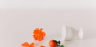 David Tennant: Life Story, Career Highlights, and Full Biography