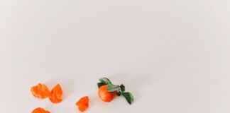 David Wenham: Life Story, Career Highlights, and Full Biography