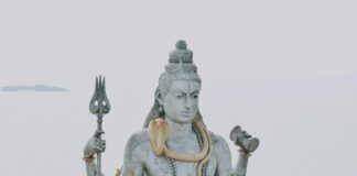 Demi Lovato: Life Story, Career Highlights, and Full Biography