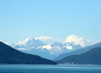 Denali: Life Story, Career Highlights, and Full Biography Denali: Life Story, Career Highlights, and Full Biography