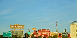 Dennis Rodman: Life Story, Career Highlights, and Full Biography