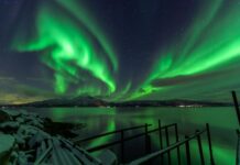 Denver Broncos Vs Cleveland Browns Match Player Stats: Surprising Standouts Denver Broncos Vs Cleveland Browns Match Player Stats: Surprising Standouts