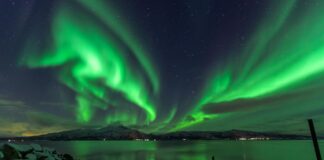 Denver Broncos Vs Cleveland Browns Match Player Stats: Surprising Standouts