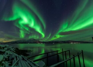 Denver Broncos Vs Cleveland Browns Match Player Stats: Surprising Standouts Denver Broncos Vs Cleveland Browns Match Player Stats: Surprising Standouts