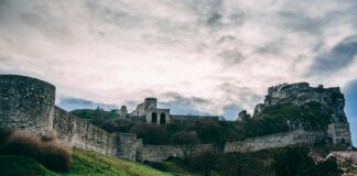 Devin Booker: Life Story, Career Highlights, and Full Biography