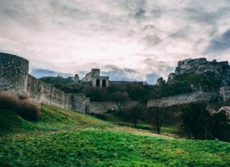 Devin Booker: Life Story, Career Highlights, and Full Biography Devin Booker: Life Story, Career Highlights, and Full Biography