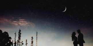 Diego Luna: Life Story, Career Highlights, and Full Biography