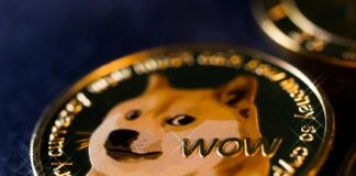 Doge Dividend Checks Date: What To Know And When To Expect Them