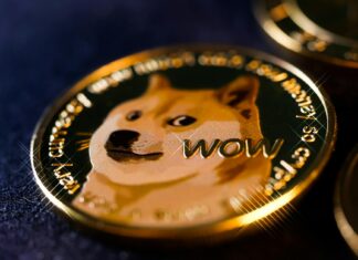 Doge Dividend Checks Date: What To Know And When To Expect Them Doge Dividend Checks Date: What To Know And When To Expect Them