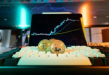 Doge Stimulus Check 2025 Update: What Crypto Users Should Know Now