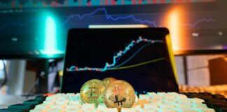 Doge Stimulus Check 2025 Update: What Crypto Users Should Know Now