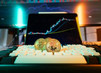 Doge Stimulus Check 2025 Update: What Crypto Users Should Know Now Doge Stimulus Check 2025 Update: What Crypto Users Should Know Now