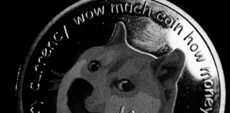 Doge Stimulus Check Update: What Crypto Users Need To Know