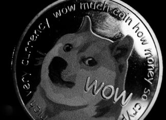 Doge Stimulus Check Update: What Crypto Users Need To Know Doge Stimulus Check Update: What Crypto Users Need To Know