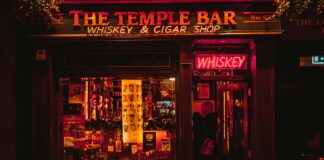 Domhnall Gleeson: Life Story, Career Highlights, and Full Biography