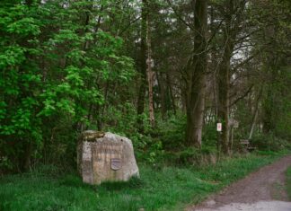 Driveway Pavers Buying Guide: Best Options For A Durable Finish Driveway Pavers Buying Guide: Best Options For A Durable Finish