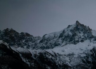 Dylan Moran: Life Story, Career Highlights, and Full Biography Dylan Moran: Life Story, Career Highlights, and Full Biography