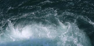 Eddie Redmayne: Life Story, Career Highlights, and Full Biography Eddie Redmayne: Life Story, Career Highlights, and Full Biography