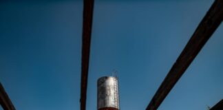 Ellen DeGeneres: Life Story, Career Highlights, and Full Biography