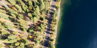 Emily Watson: Life Story, Career Highlights, and Full Biography