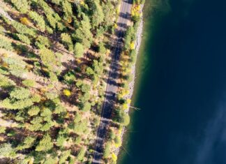 Emily Watson: Life Story, Career Highlights, and Full Biography Emily Watson: Life Story, Career Highlights, and Full Biography