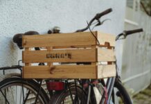 Emma Mackey: Life Story, Career Highlights, and Full Biography