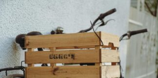 Emma Raducanu: Life Story, Career Highlights, and Full Biography