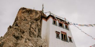 Emma Stone: Life Story, Career Highlights, and Full Biography