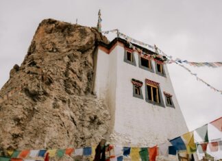 Emma Stone: Life Story, Career Highlights, and Full Biography Emma Stone: Life Story, Career Highlights, and Full Biography