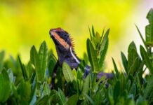 Emma Watson: Life Story, Career Highlights, and Full Biography Emma Watson: Life Story, Career Highlights, and Full Biography