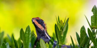 Emma Watson: Life Story, Career Highlights, and Full Biography Emma Watson: Life Story, Career Highlights, and Full Biography