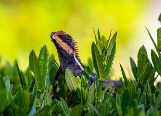 Emma Watson: Life Story, Career Highlights, and Full Biography Emma Watson: Life Story, Career Highlights, and Full Biography