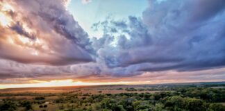 Eureka O’Hara: Life Story, Career Highlights, and Full Biography Eureka O'Hara: Life Story, Career Highlights, and Full Biography