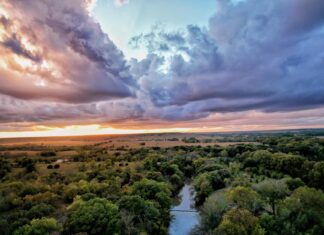 Eureka O’Hara: Life Story, Career Highlights, and Full Biography Eureka O'Hara: Life Story, Career Highlights, and Full Biography