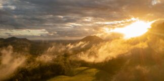 Evanna Lynch: Life Story, Career Highlights, and Full Biography