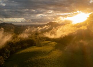 Evanna Lynch: Life Story, Career Highlights, and Full Biography Evanna Lynch: Life Story, Career Highlights, and Full Biography