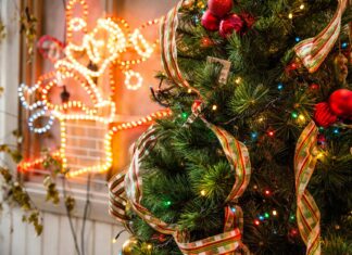 Eve Hewson: Life Story, Career Highlights, and Full Biography Eve Hewson: Life Story, Career Highlights, and Full Biography