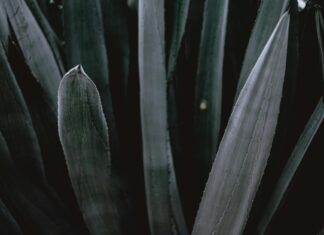 Ezra Miller: Life Story, Career Highlights, and Full Biography Ezra Miller: Life Story, Career Highlights, and Full Biography