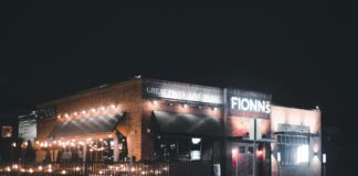 Fionn O'Shea: Life Story, Career Highlights, and Full Biography