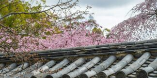 FKA Twigs: Life Story, Career Highlights, and Full Biography