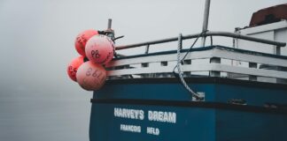 François Cluzet: Life Story, Career Highlights, and Full Biography