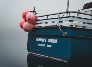 François Cluzet: Life Story, Career Highlights, and Full Biography François Cluzet: Life Story, Career Highlights, and Full Biography