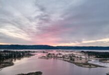 Frozen River Book Review: Why This Haunting Story Stays With Readers Frozen River Book Review: Why This Haunting Story Stays With Readers