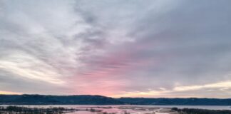 Frozen River Book Review: Why This Haunting Story Stays With Readers